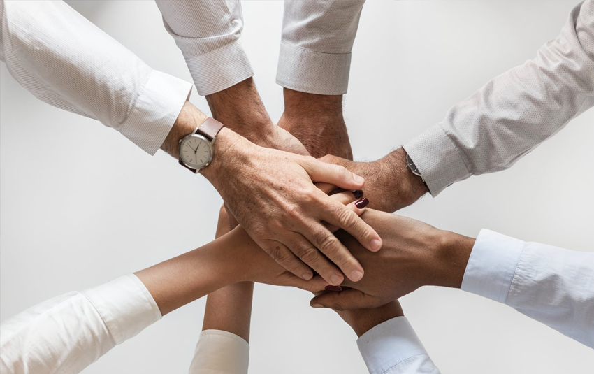 E-Ticaret Sitelerine Toplu Üyelik Desteği